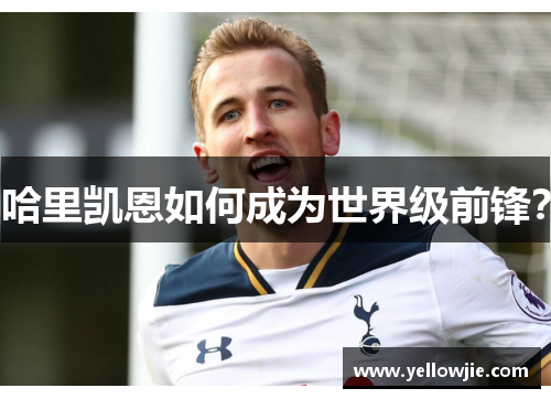 哈里凯恩如何成为世界级前锋? 哈里凯恩如何成为世界级前锋?