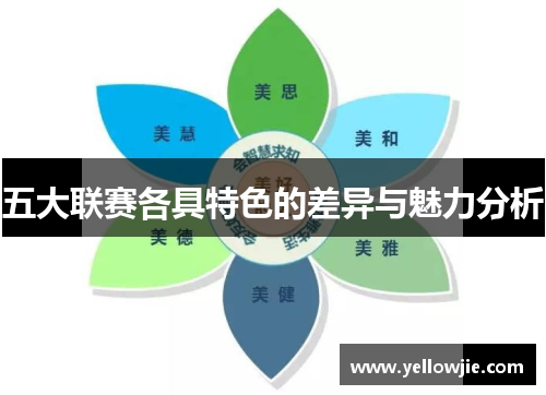 五大联赛各具特色的差异与魅力分析