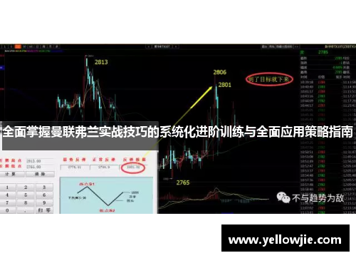 全面掌握曼联弗兰实战技巧的系统化进阶训练与全面应用策略指南
